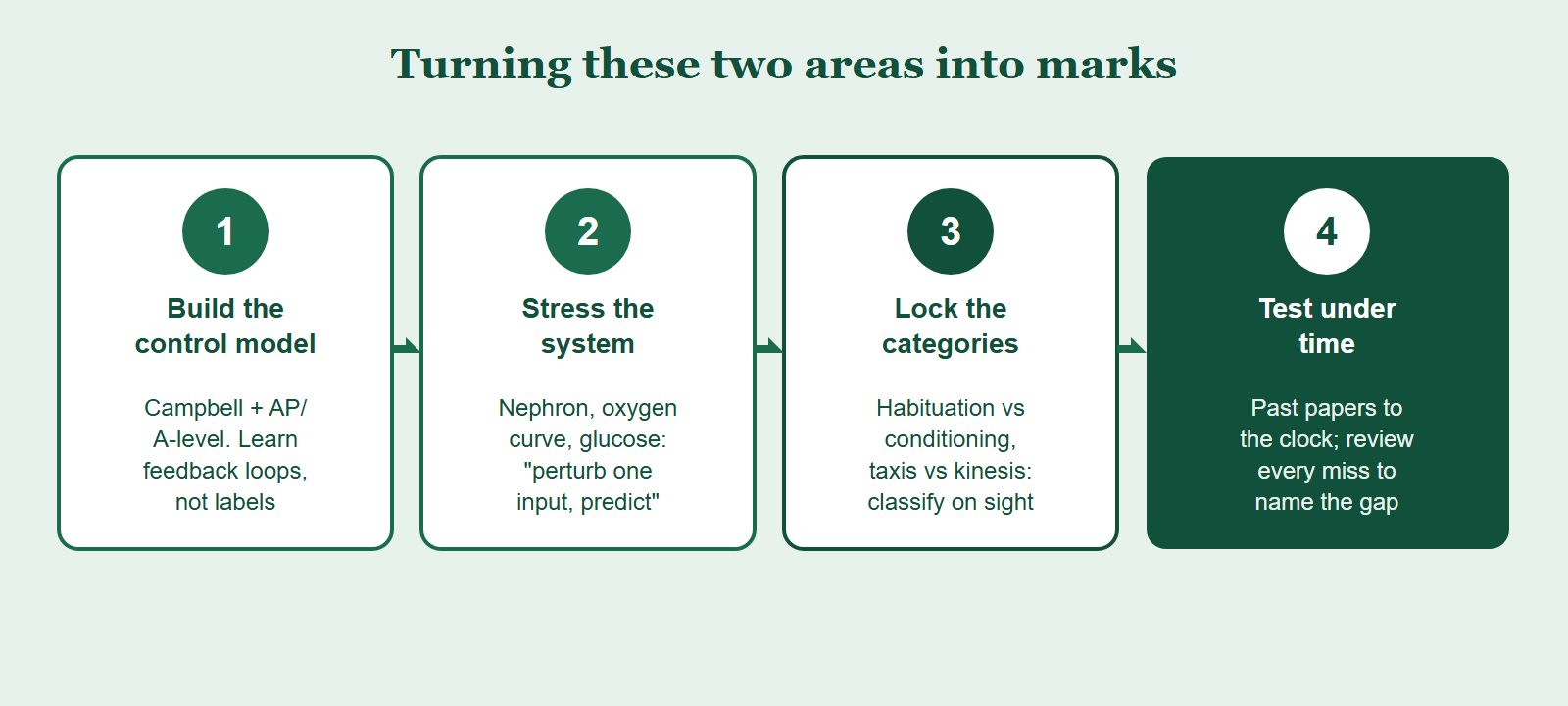 A four-step method for mastering the BBO's animal physiology and behaviour areas: build the control model from Campbell focusing on feedback loops, drill the system-under-stress scenarios such as kidney and oxygen curve, lock down the behaviour categories so you can classify experiments, then test under timed past papers.