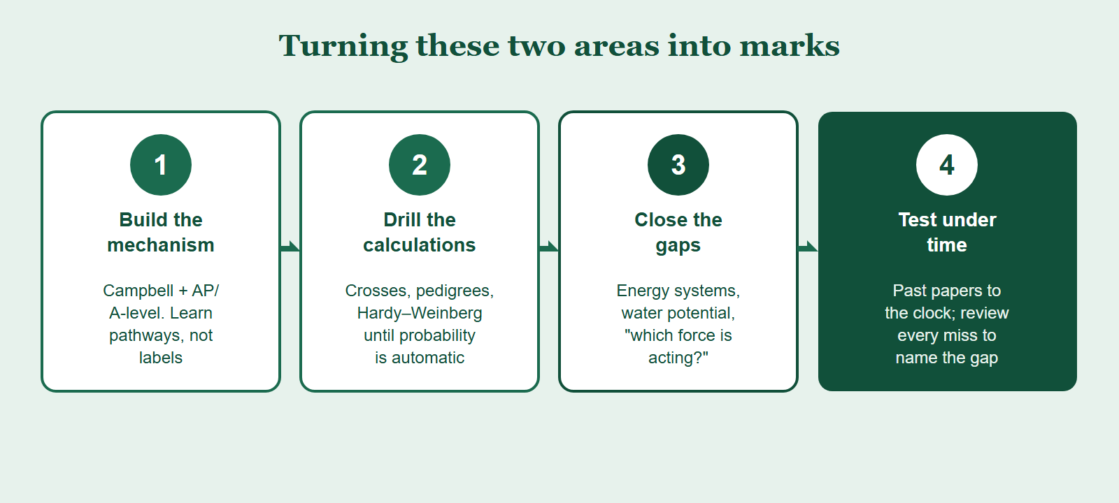 A four-step method for mastering the BBO's cell biology and genetics areas: build the mechanism from Campbell, drill the calculations especially genetics ratios and Hardy-Weinberg, close the common gaps, then test under timed past papers.