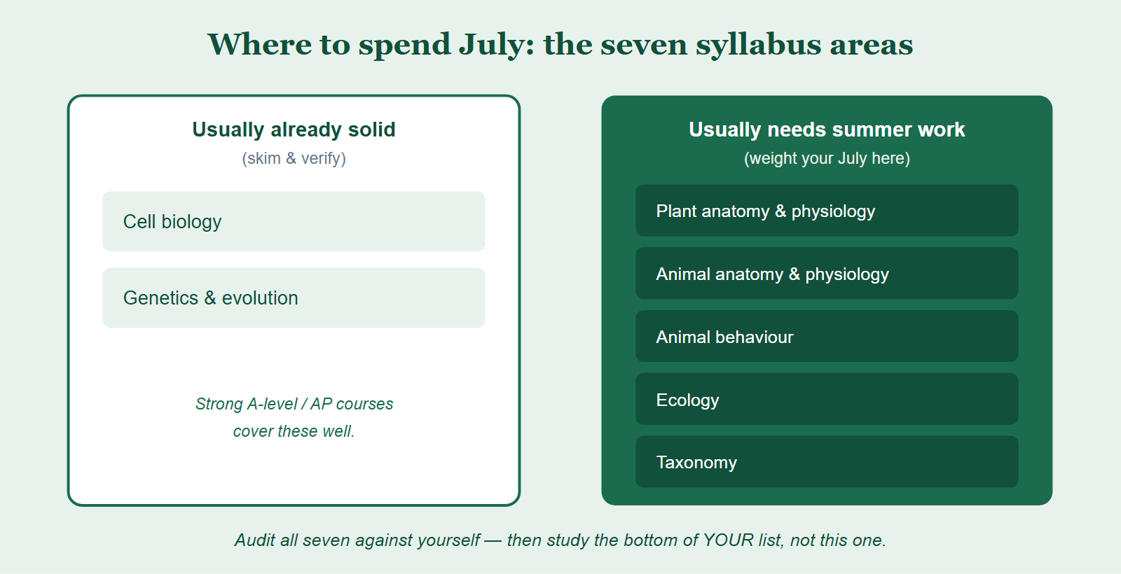 The seven BBO syllabus areas grouped into two columns: areas students usually arrive strong in (cell biology, genetics and evolution) and areas that usually need summer work (plant physiology, animal anatomy and physiology, animal behaviour, ecology, taxonomy).