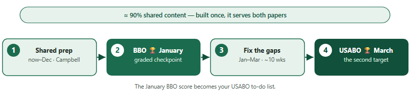 Double-gold path: shared prep, BBO in January, fix the gaps, USABO in late March, with about 90 percent shared content