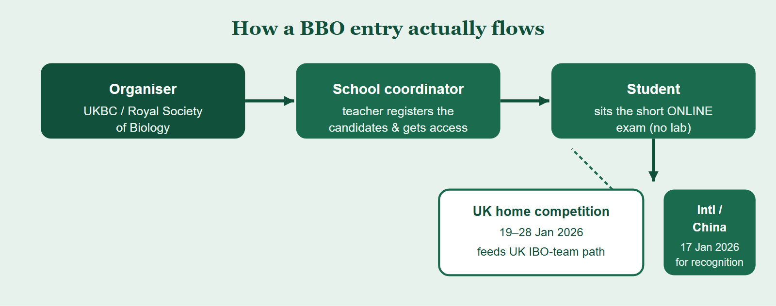 Flow chart showing the BBO registration chain: organiser UKBC, then school coordinator, then student sits the online exam, branching to UK home route and international/China-region route.