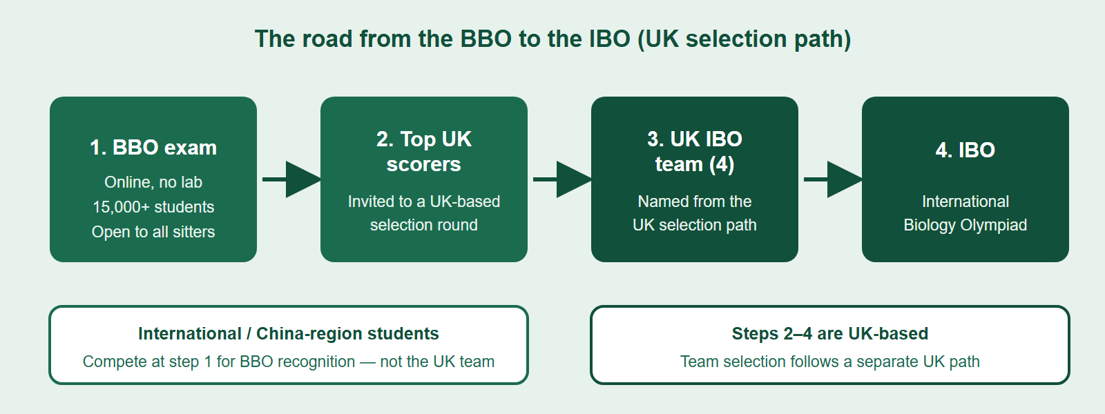 The UK selection ladder from the BBO exam up to the International Biology Olympiad, showing where international students stop