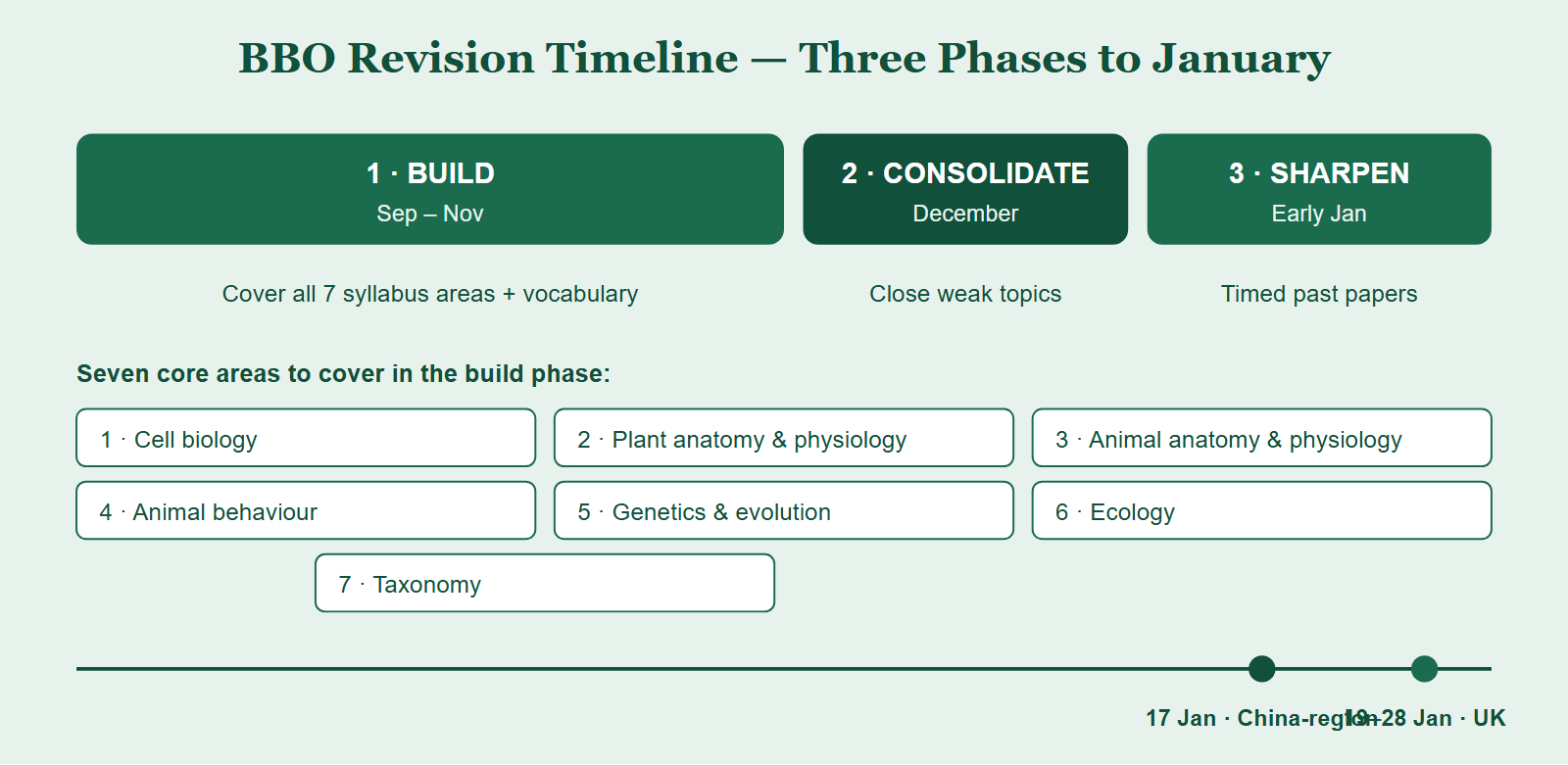 A month-by-month BBO revision timeline showing three phases: September to November build phase covering the seven syllabus areas, December consolidation of weak topics, and January past papers leading to the China-region exam on 17 January and the UK window 19 to 28 January.