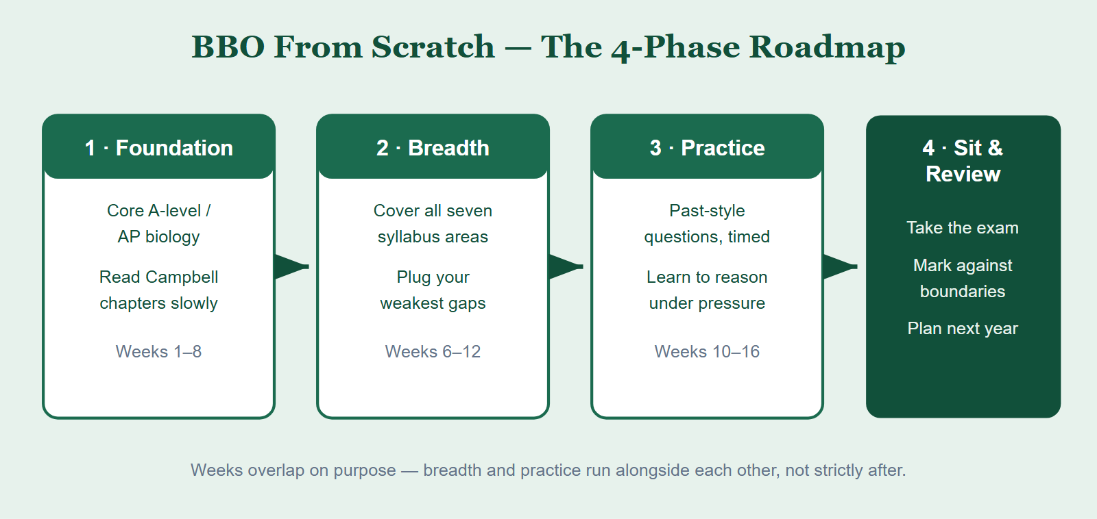 A four-step beginner roadmap for the BBO: build foundation, learn the seven syllabus areas, practise past-style questions, then sit the exam and review.