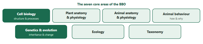 The seven core BBO areas: cell biology, plant anatomy and physiology, animal anatomy and physiology, animal behaviour, genetics and evolution, ecology, taxonomy