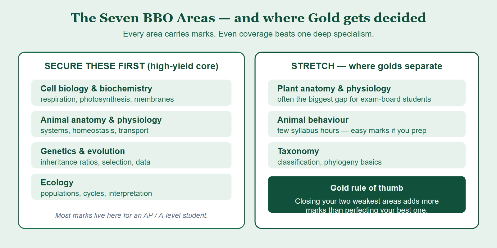 Breakdown of the seven BBO syllabus areas grouped into a strong core to secure and stretch topics that decide gold, with study weighting cues