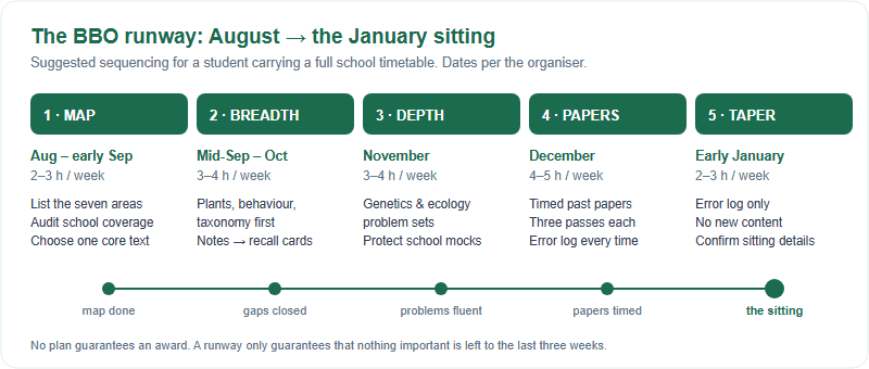 Timeline of a five-phase British Biology Olympiad runway from August to the January sitting, showing the window, suggested weekly hours and main job for each phase.