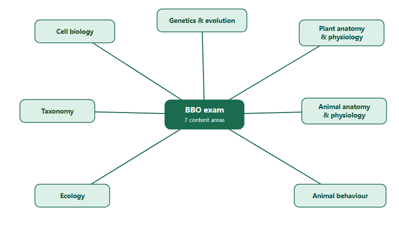 Map of the seven BBO content areas radiating from a central exam node