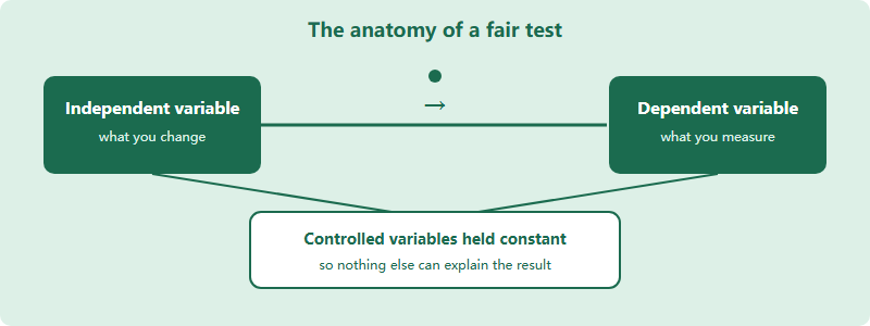 Flow diagram showing how independent, dependent, controlled and confounding variables relate in an experiment