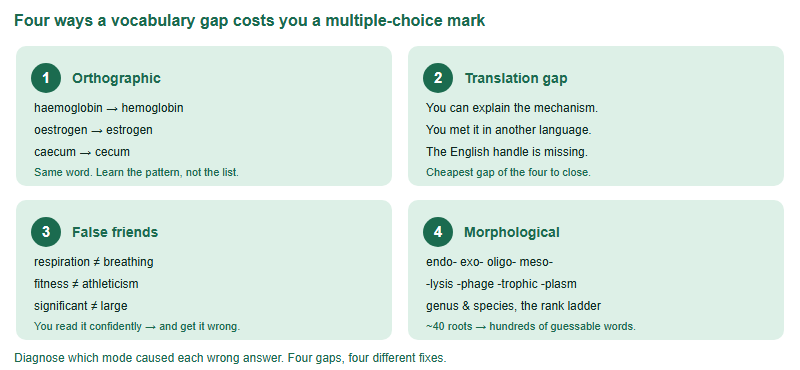 Four quadrant diagram of BBO vocabulary failure modes: British spelling variants, missing English labels for known concepts, everyday-versus-technical false friends, and unfamiliar Greek and Latin roots