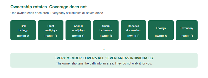 Seven content areas each assigned an owner who leads that week's session, shown as a row of seven boxes labelled with member letters. Beneath them, a single continuous bar indicates that every member covers all seven areas individually regardless of ownership.