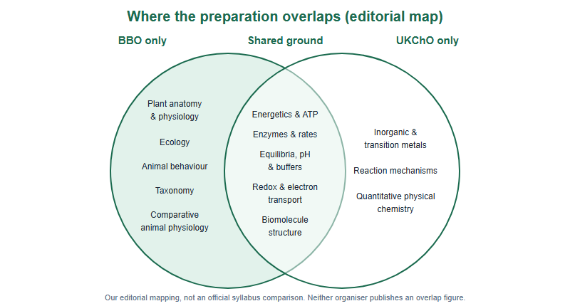Editorial map of content shared by the BBO and UKChO. BBO only: plant anatomy and physiology, ecology, animal behaviour, taxonomy and comparative animal physiology. Shared ground: energetics and ATP, enzymes and reaction rates, equilibria, pH and buffers, redox and electron transport, and the structure of biological molecules. UKChO only: inorganic and transition-metal chemistry, reaction mechanisms and quantitative physical chemistry.
