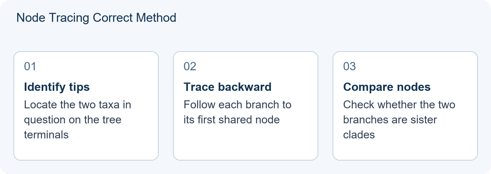 Node Tracing Correct Method
